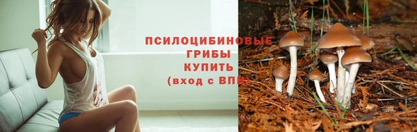 спиды Белоозёрский