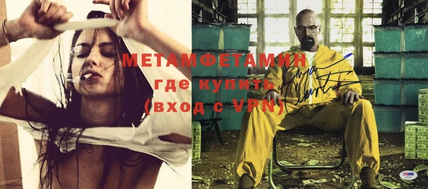 молекула духа Богданович