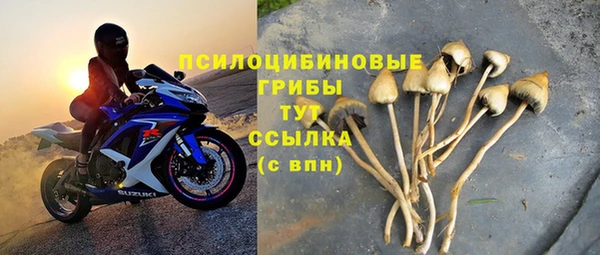мет Белокуриха